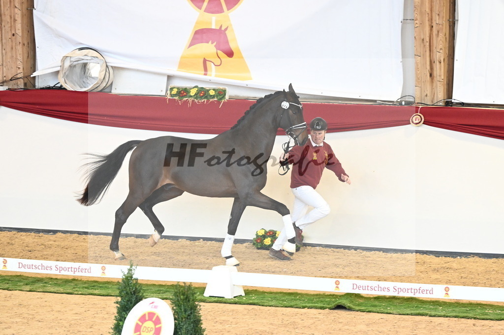 Kat.-Nr. 72 v. Va Bene_Bergmann_2240698 | hf-fotografie - Realizzato con Pictrs.com