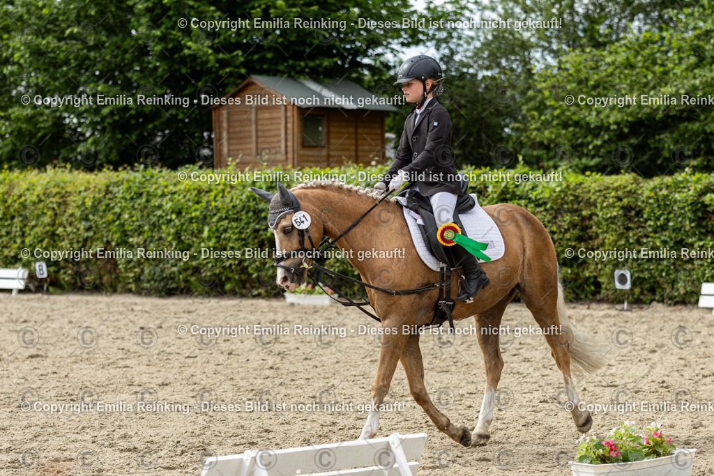 CL5A1624 | Emilia Reinking Fotografie - Realisiert mit Pictrs.com