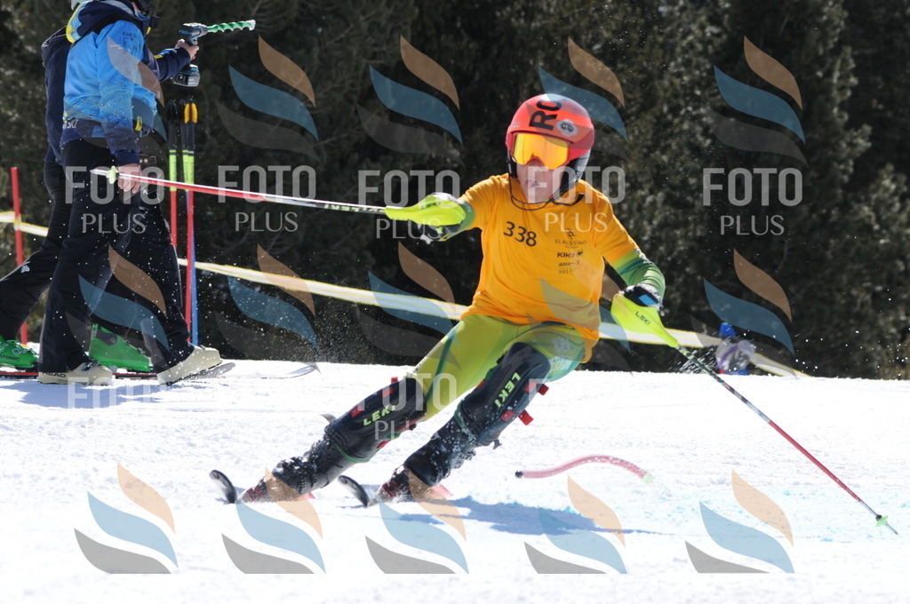 C9315 | holidayphoto