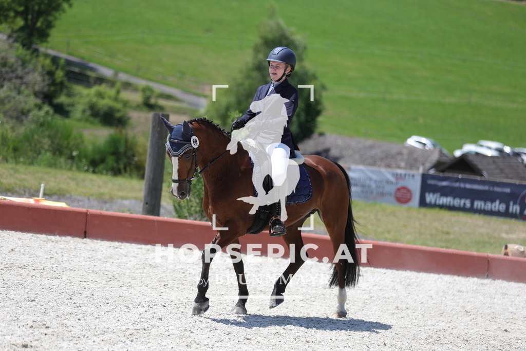 0P6A6326 | Willkommen bei Brunnmayr - Design & Fotografie – Ihrem Spezialisten für Reitturniere und Pferdeveranstaltungen in Oberösterreich, Salzburg und Bayern! Seit über 17 Jahren sind wir leidenschaftlich dabei.