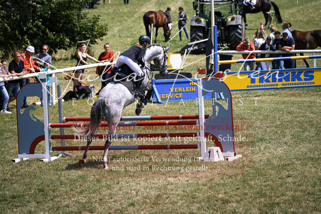 DSC_9584 | Pferde- und Turnierfotografie in Westsachsen. Pferdeportraits, Auftragszeichnungen und intuitive Kunst.