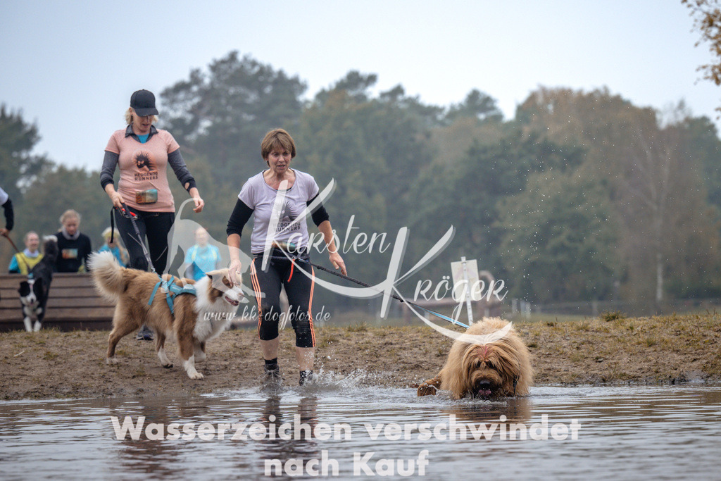 1003_ZZ97527 | kk-dogfotos