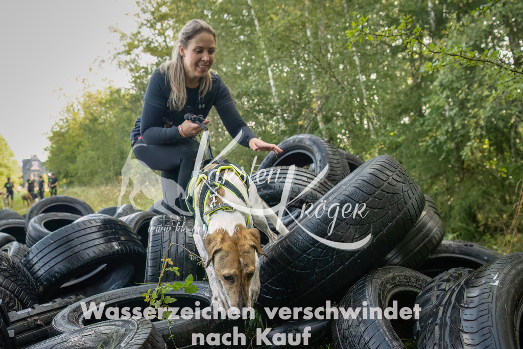 1126_ZZ92012-Bearbeitet | kk-dogfotos