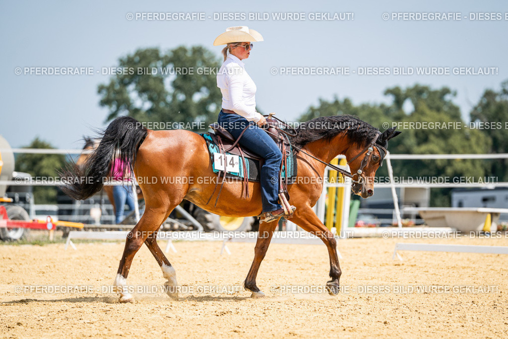 DSC00431 | Pferdegrafie