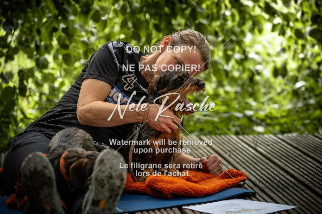 nelerasche_SaN_220 | nelerasche