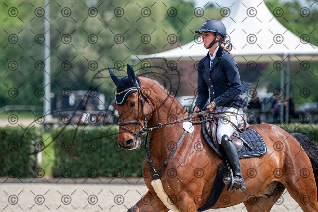 KPT_3337 | andre_photographic