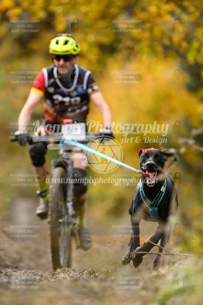 MompixPhotography_ICF_WC_2024_SA_Bike_-362 | PayLife