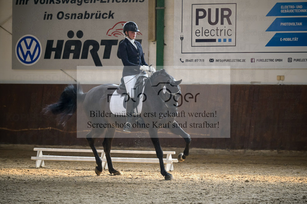 Reitturnier Voxtrup | Entdecke hochwertige Reitturnierfotos von Foto Oger. Professionell, emotional und authentisch – jetzt Lieblingsmomente im Shop bestellen.Deutschlandweite Turnierfotografie. - Realisiert mit Pictrs.com