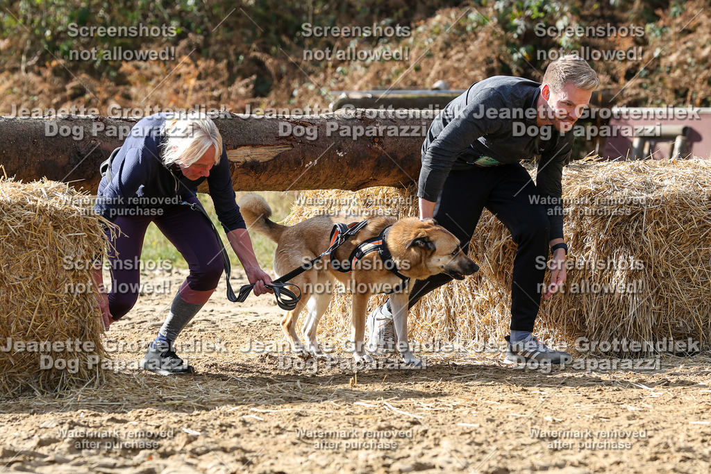 Dog Paparazzi - Strongdog 10-25-5749 | Dog Paparazzi Jeanette Grottendiek Fotografie & Videografie - Realisiert mit Pictrs.com