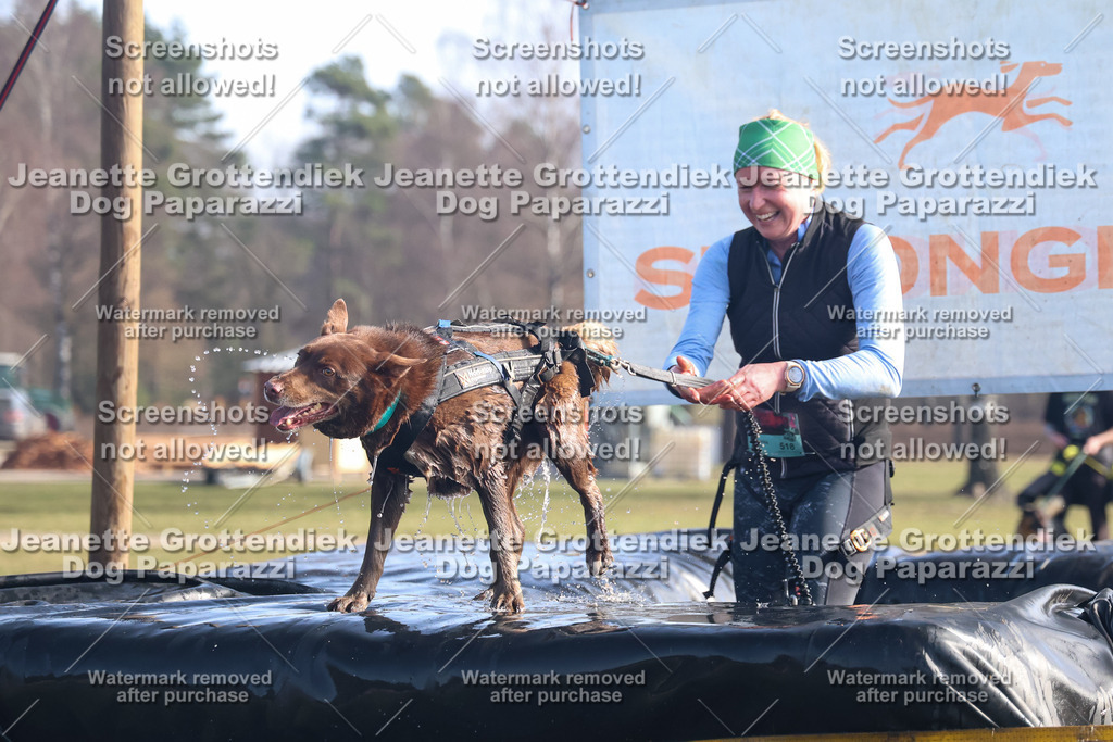 Dog Paparazzi - Strongdog North Mrz26-1014 | Dog Paparazzi Jeanette Grottendiek Fotografie & Videografie - Realisiert mit Pictrs.com