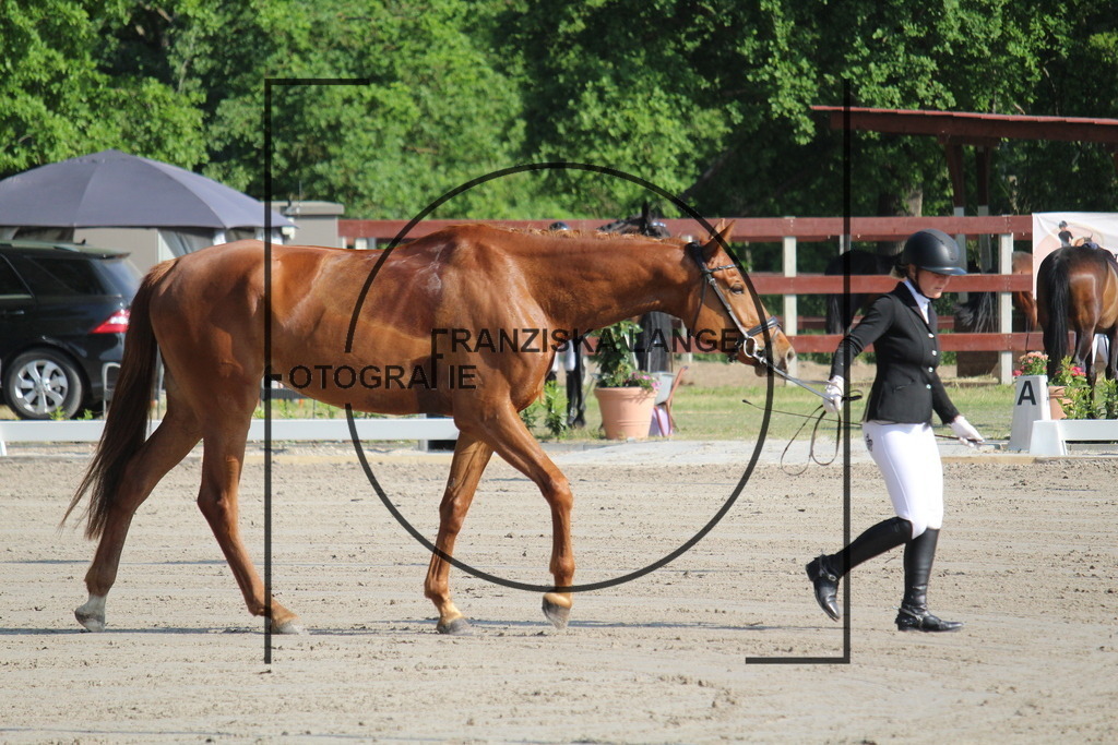 IMG_1955 | franziskalange - Realisiert mit Pictrs.com