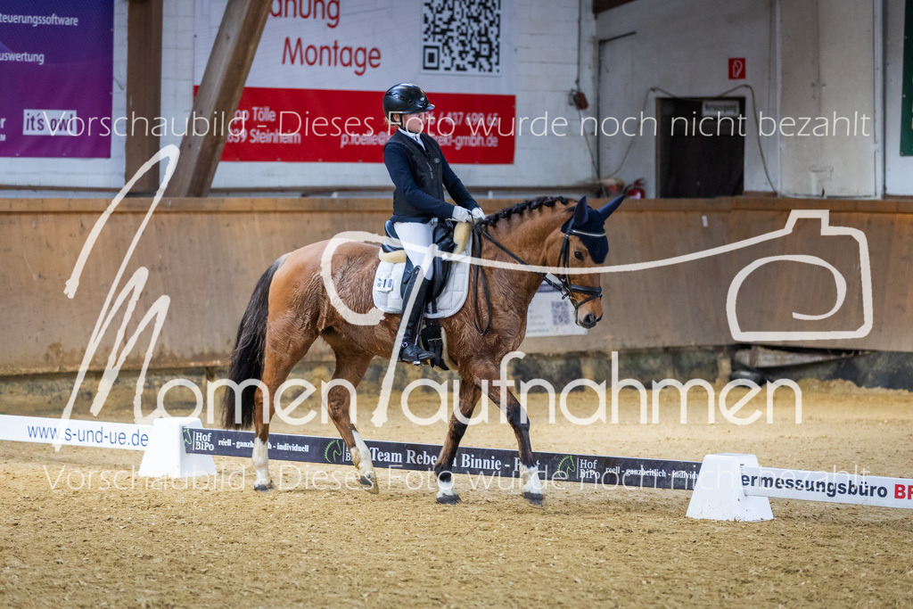 _M2A1972 | MomenTaufnahmen Pferdesportfotos