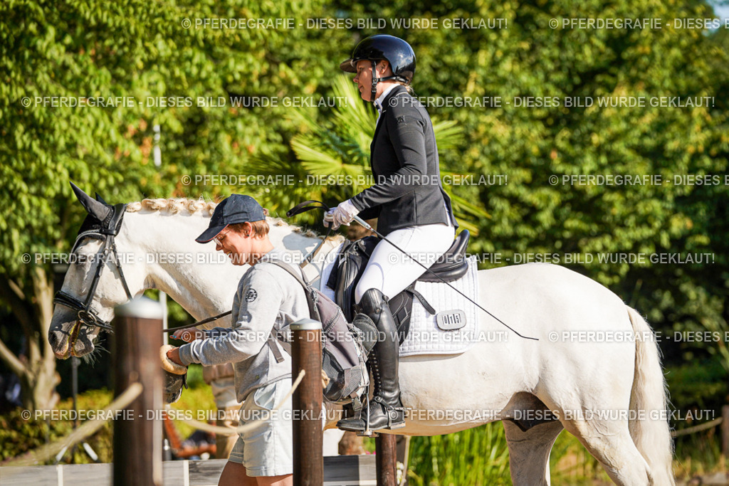 DSC08800 | Pferdegrafie