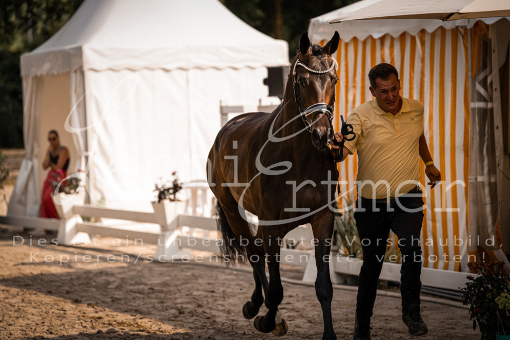 FrER00188 | Leoni Ertmer Photography - Realisiert mit Pictrs.com