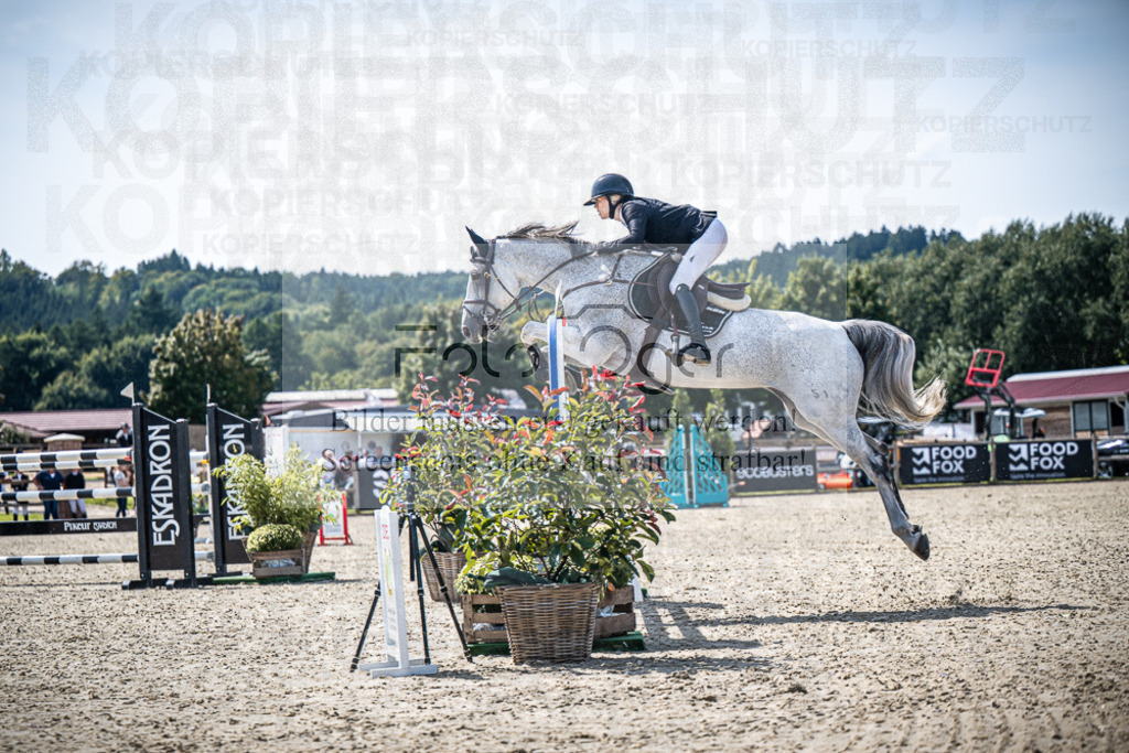 DOS_6854 | Entdecke hochwertige Reitturnierfotos von Foto Oger. Professionell, emotional und authentisch – jetzt Lieblingsmomente im Shop bestellen.Deutschlandweite Turnierfotografie. - Realisiert mit Pictrs.com