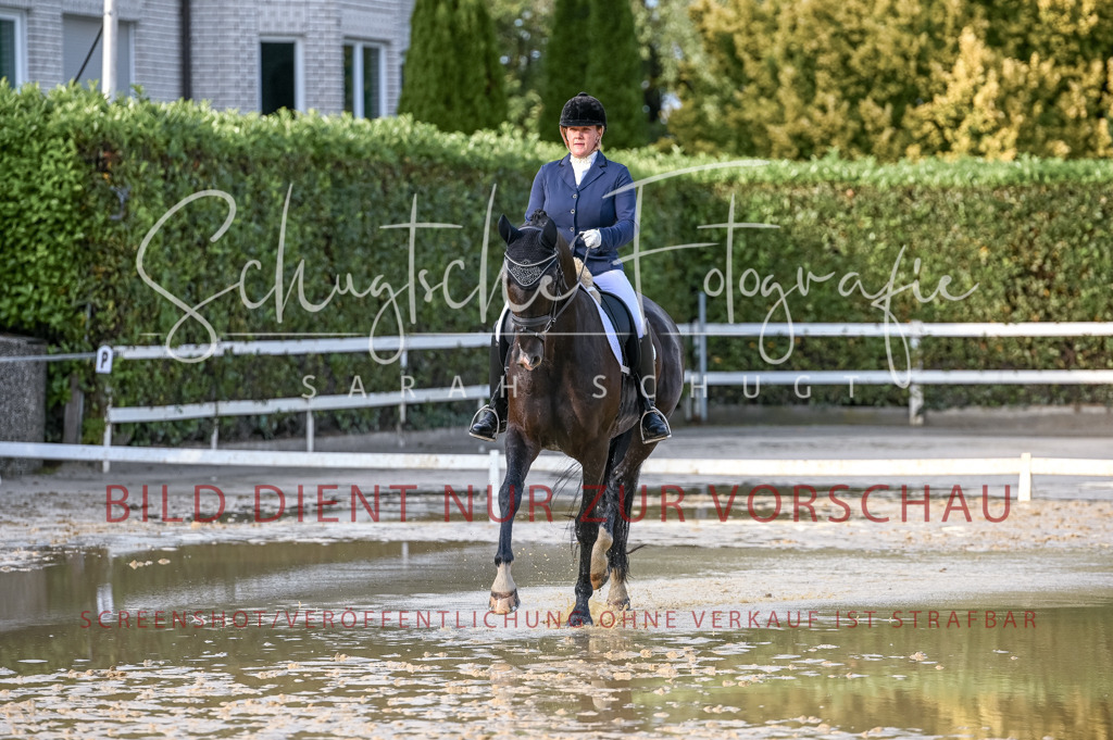 Schugtsche-Aluta25-54.Dressurprf.L1Trense-297 | Schugtsche Fotografie - Realisiert mit Pictrs.com