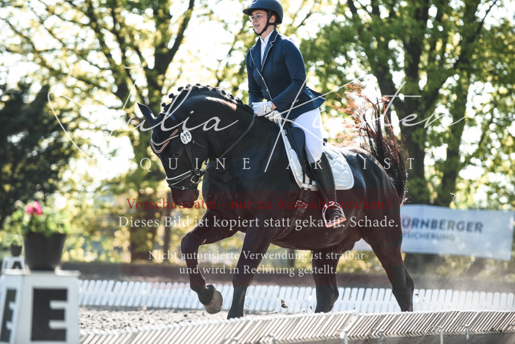 DSC_8499 | Pferde- und Turnierfotografie in Westsachsen. Pferdeportraits, Auftragszeichnungen und intuitive Kunst.