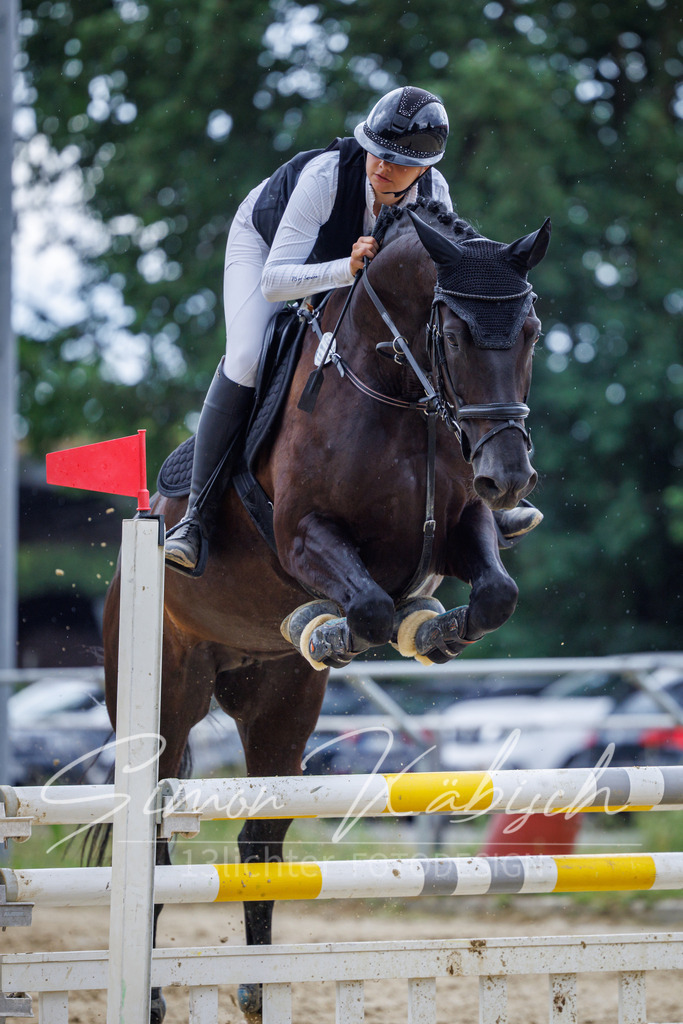 20260705-_3LI5150 | Tierfotografie Pferde, Hunde, Katzen, Haustiere.
Turnierfotografie Reitturniere, Reiten, Springreiten, Dressur in Hanau, dem Main-Kinzig-Kreis und dem Rhein-Main- Gebiet um Frankfurt