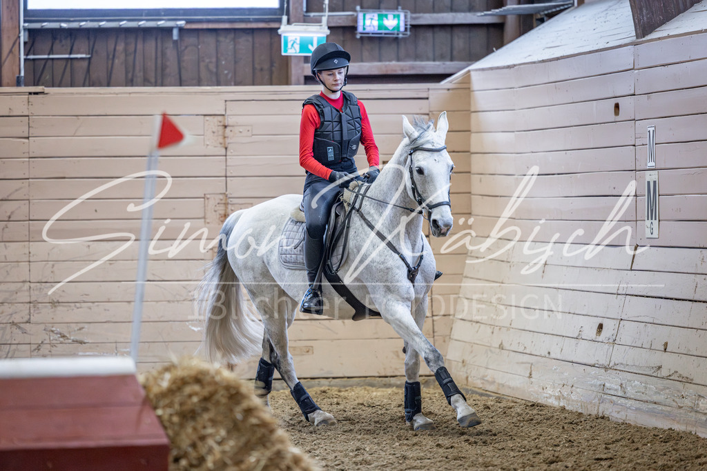 20260221-_3LI9498 | Tierfotografie Pferde, Hunde, Katzen, Haustiere.
Turnierfotografie Reitturniere, Reiten, Springreiten, Dressur in Hanau, dem Main-Kinzig-Kreis und dem Rhein-Main- Gebiet um Frankfurt