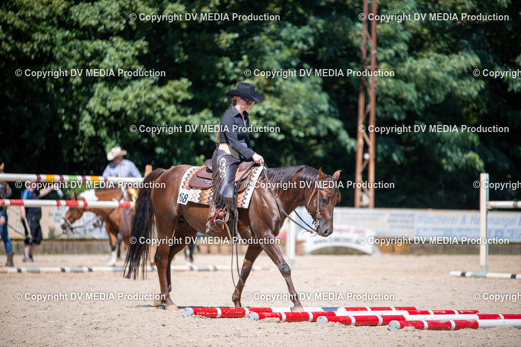 ZS1_1483 | dv-media-shop - Realisiert mit Pictrs.com