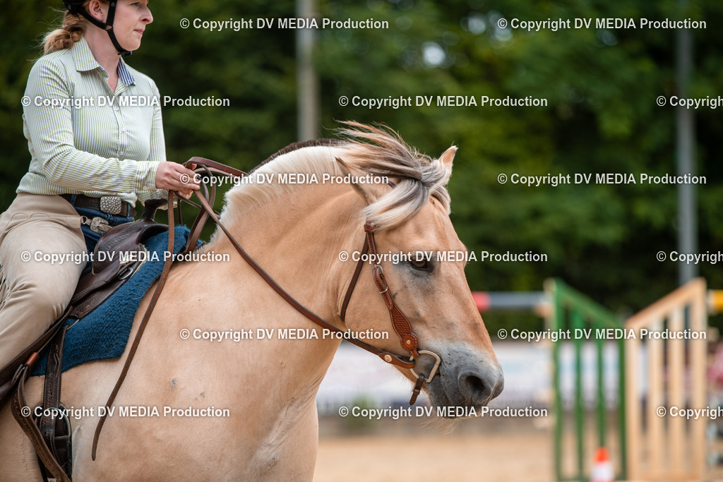 ZS2_7773 | dv-media-shop - Realisiert mit Pictrs.com