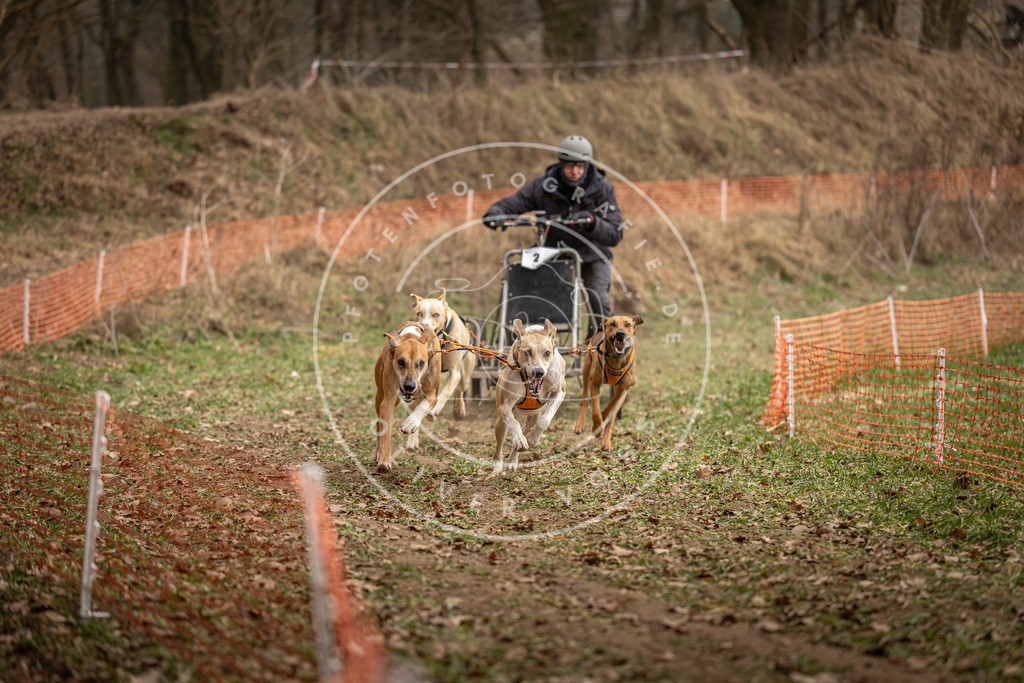 Pfotenfotografie_DV3A8103 | Hundefotografie, Tierfotograf, Pfotenfotografie, Fotoshooting Hund, Hunde Portrait, Hundesport, Hundeportraits, Heideshooting, Hunde, Sportfotograf, Hundefotograf, Turnierhundsport, THS,  - Realisiert mit Pictrs.com