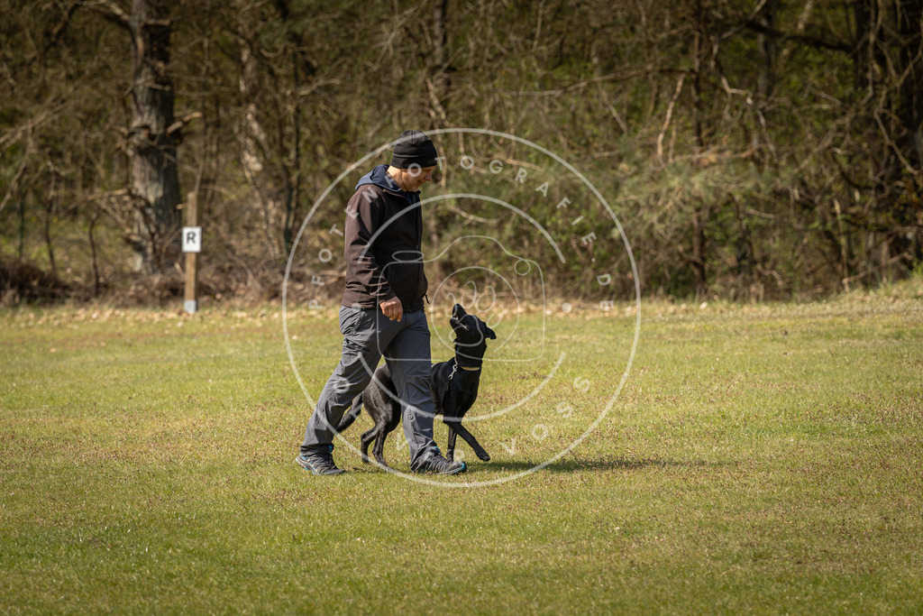 Pfotenfotografie_DV3A1185 | Hundefotografie, Tierfotograf, Pfotenfotografie, Fotoshooting Hund, Hunde Portrait, Hundesport, Hundeportraits, Heideshooting, Hunde, Sportfotograf, Hundefotograf, Turnierhundsport, THS,  - Realisiert mit Pictrs.com