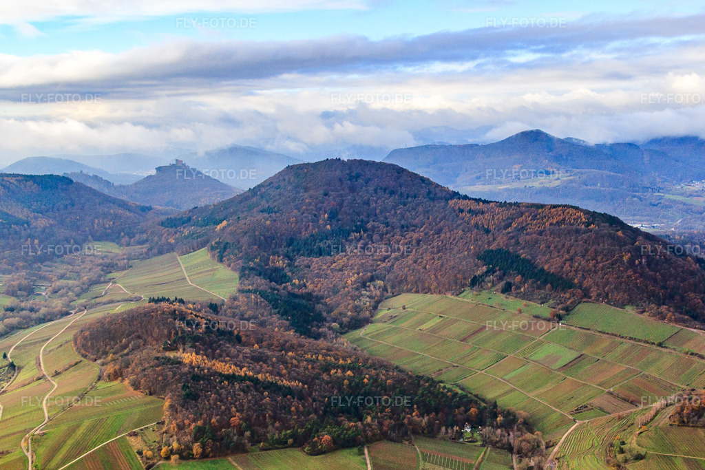 Luftbild: Hohenberg im Pfälzerwald in Birkweiler im Bundesland Rheinland-Pfalz in Deutschland. Foto: IMG_61286.jpg vom 30.11.2013 durch Werner Riehm/FLY-FOTO.de