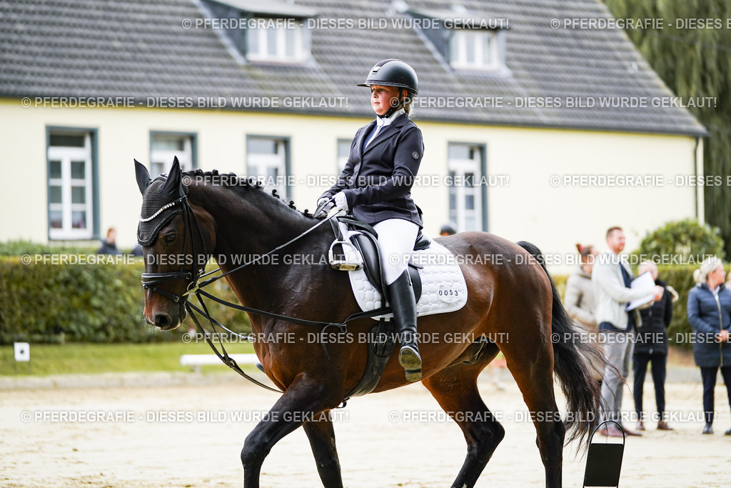 DSC04580 | Pferdegrafie