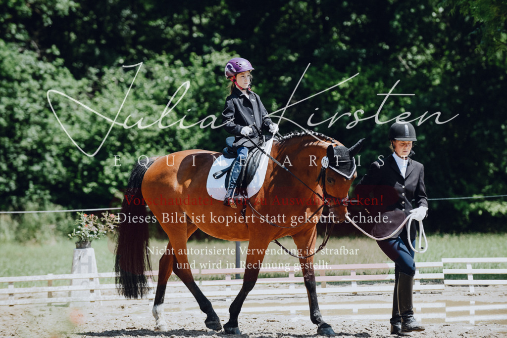 DSC_2133 | Pferde- und Turnierfotografie in Westsachsen. Pferdeportraits, Auftragszeichnungen und intuitive Kunst.