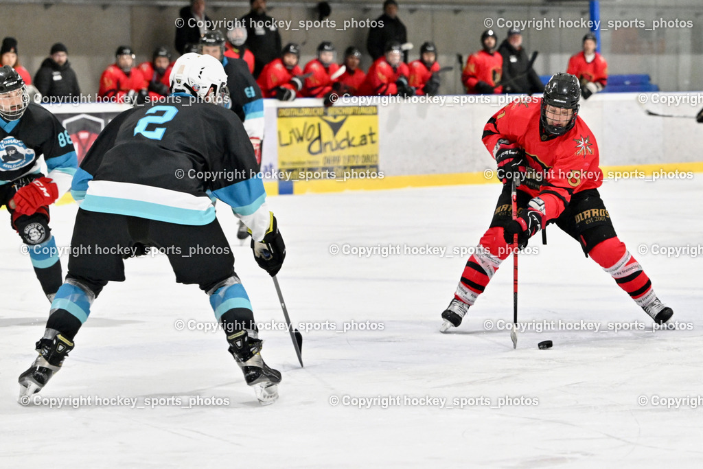 Lendhafen Seelöwen vs. Spartans Althofen | #2 Prohaska Gert Lendhafen Seelöwen, #81 Jakobitsch Silvio Spartans Althofen, Lendhafen Seelöwen vs. Spartans Althofen, Lendhafen Seelöwen vs. Spartans Althofen am 14.02.2025 in Ferlach (HTC Eishalle Ferlach), Austria, (Photo by Bernd Stefan)