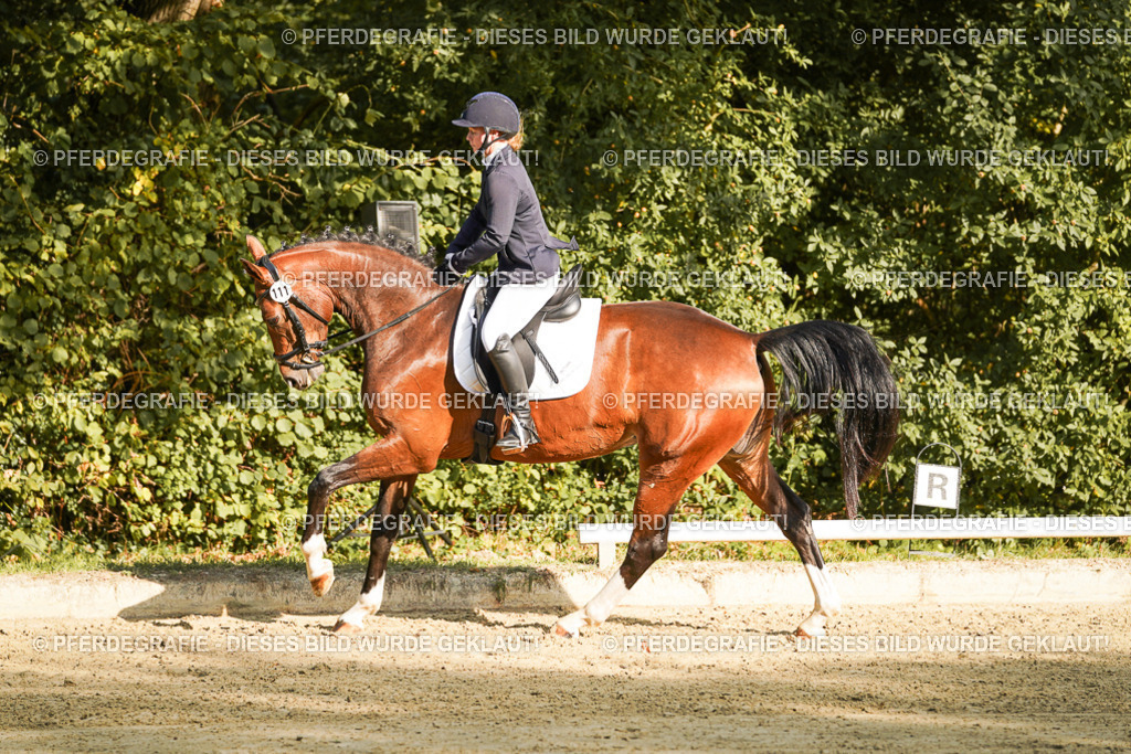 DSC05448 | Pferdegrafie