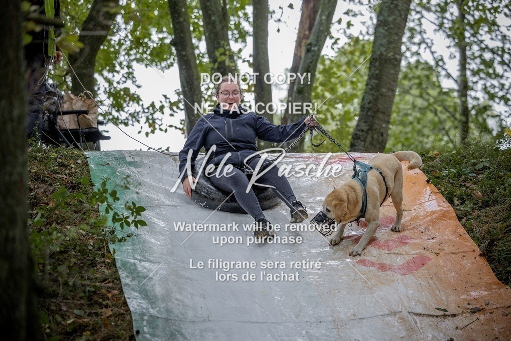 nelerasche_Hunsrück_Sa1000-1030_146-final | nelerasche
