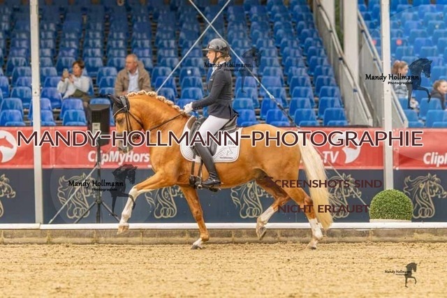 28-8-26 5j DRE-113 | mandyhollmannphotographie