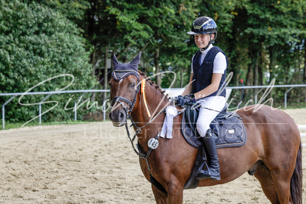 20250906-_3LI6557 | Tierfotografie Pferde, Hunde, Katzen, Haustiere.
Turnierfotografie Reitturniere, Reiten, Springreiten, Dressur in Hanau, dem Main-Kinzig-Kreis und dem Rhein-Main- Gebiet um Frankfurt