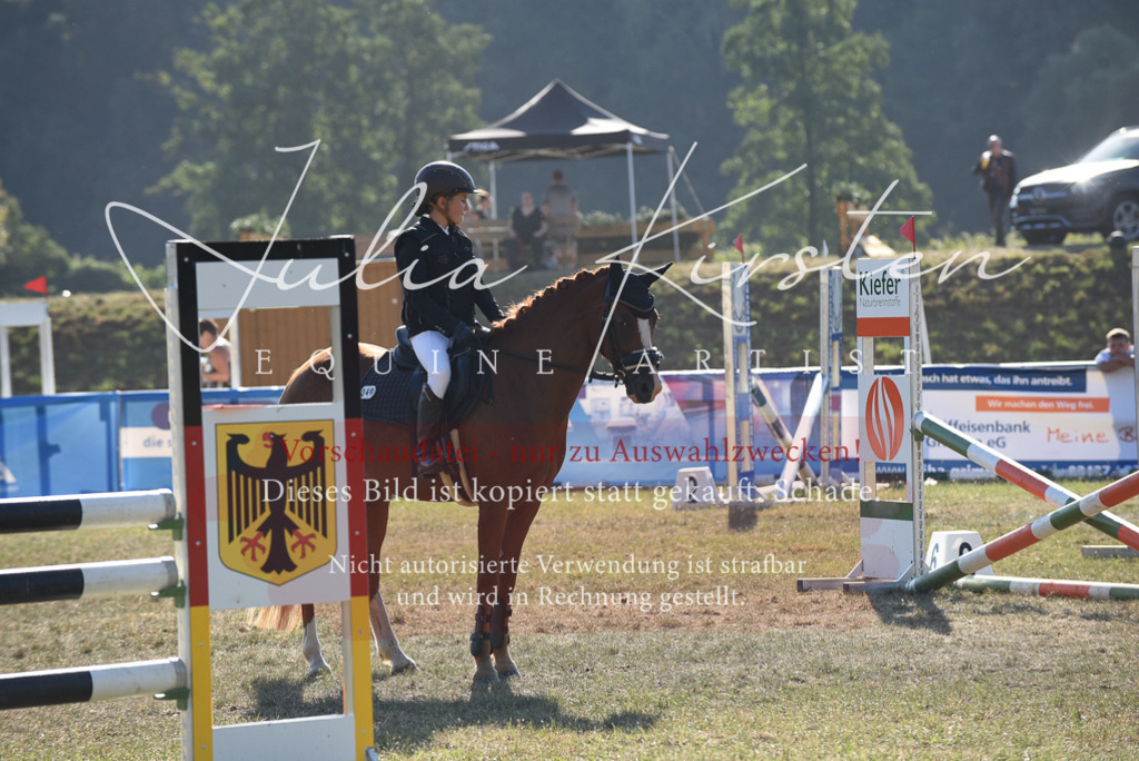 DSC_5678 | Pferde- und Turnierfotografie in Westsachsen. Pferdeportraits, Auftragszeichnungen und intuitive Kunst.
