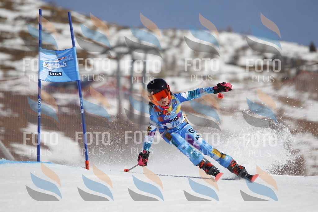 _U3G9955 | holidayphoto