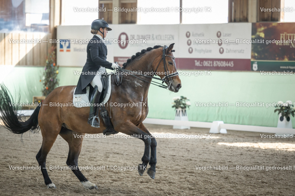 _D5A9948 | Emotionale Pferde- & People-Fotografie rund um Heidelberg, Leimen & Umgebung. Natürliche Fotos von Pferd, Mensch & Familie. Jetzt Termin sichern!