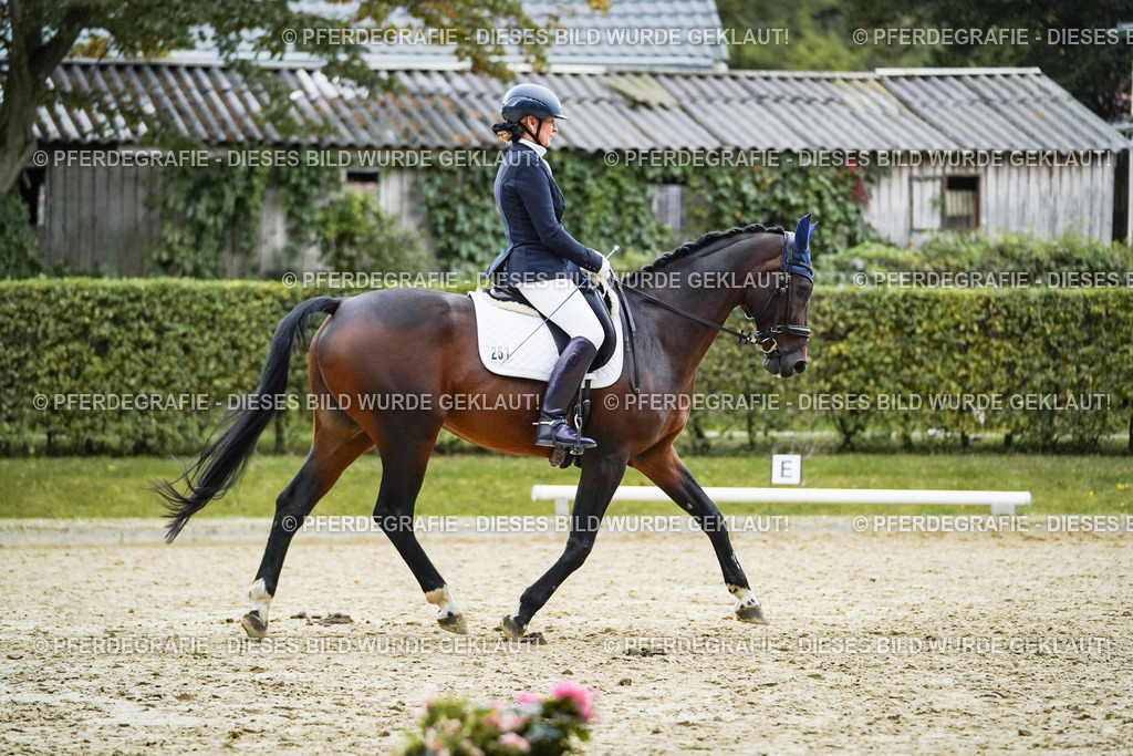 DSC00107 | Pferdegrafie