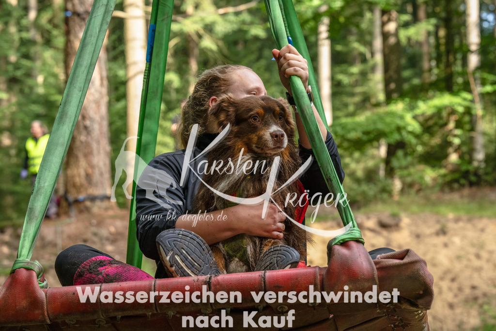 1102_ZZ93919-Bearbeitet | kk-dogfotos