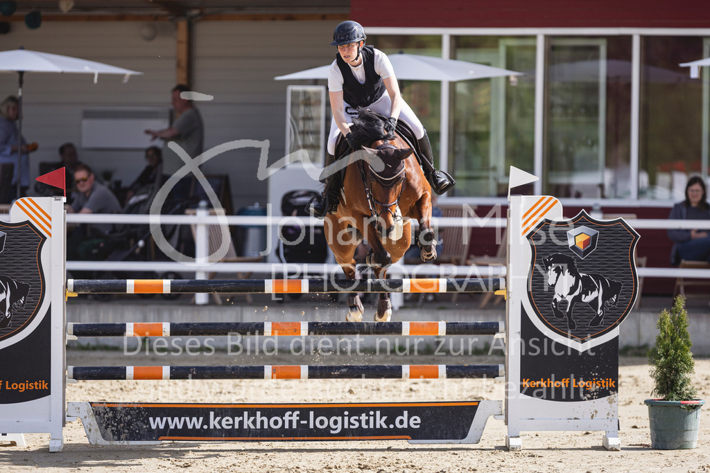 260503_Spenge_7_M2-Spr-m-steig-Anf-753 | Deine schönsten Turniermomente als professionelle Fotos! Entdecke hochwertige Pferdesport-Fotografie im Online-Shop. Jetzt Fotos finden & bestellen!