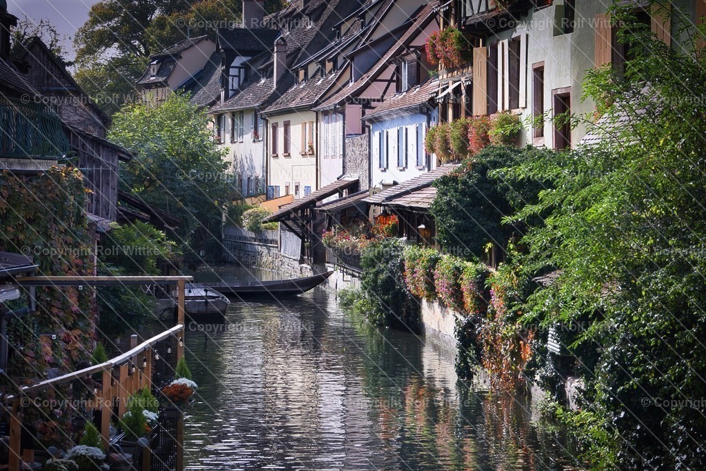 1D3A0710_upscale | Rolf Wittke  - Realisiert mit Pictrs.com