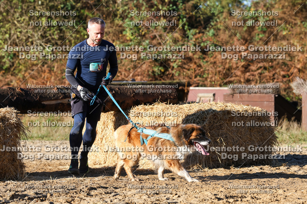 Dog Paparazzi - Strongdog 10-25-1400 | Dog Paparazzi Jeanette Grottendiek Fotografie & Videografie - Realisiert mit Pictrs.com