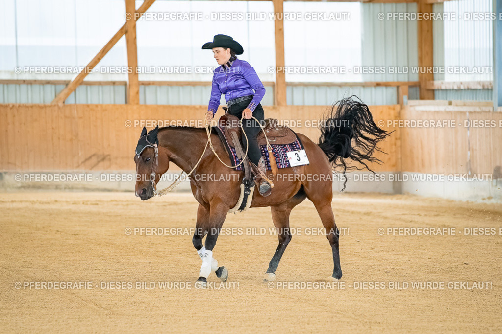 DSC07720 | Pferdegrafie