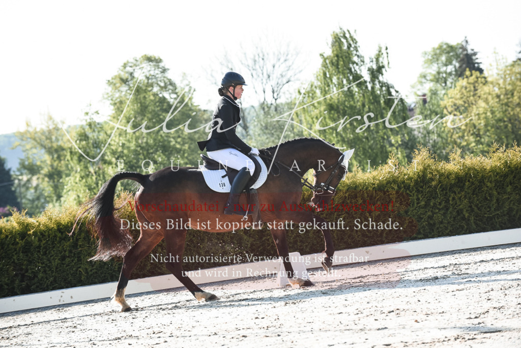20230518_JK-Röhrsdorf-09-0620 | Pferde- und Turnierfotografie in Westsachsen. Pferdeportraits, Auftragszeichnungen und intuitive Kunst.