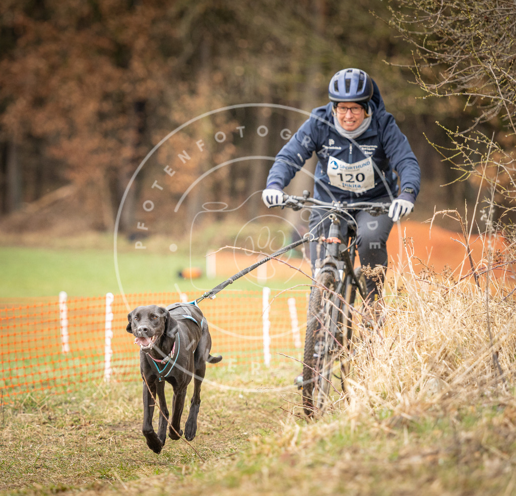 DV3A1058 | Hundefotografie, Tierfotograf, Pfotenfotografie, Fotoshooting Hund, Hunde Portrait, Hundesport, Hundeportraits, Heideshooting, Hunde, Sportfotograf, Hundefotograf, Turnierhundsport, THS,  - Realisiert mit Pictrs.com