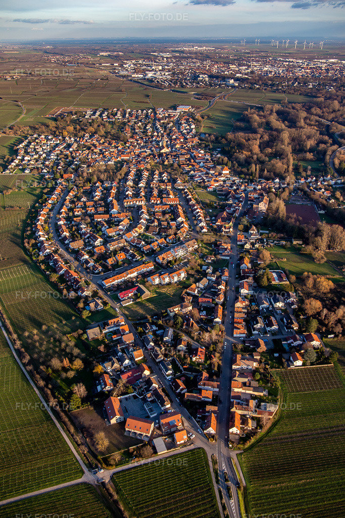 Luftbild: Ortsansicht von Westen im Ortsteil Godramstein in Landau im Bundesland Rheinland-Pfalz in Deutschland. Foto: IMG_135824.jpg vom 18.01.2023 durch Werner Riehm/FLY-FOTO.deGodramstein / Stadt Landau