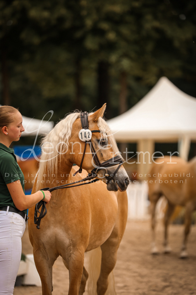 06.So00151 | Leoni Ertmer Photography - Realisiert mit Pictrs.com