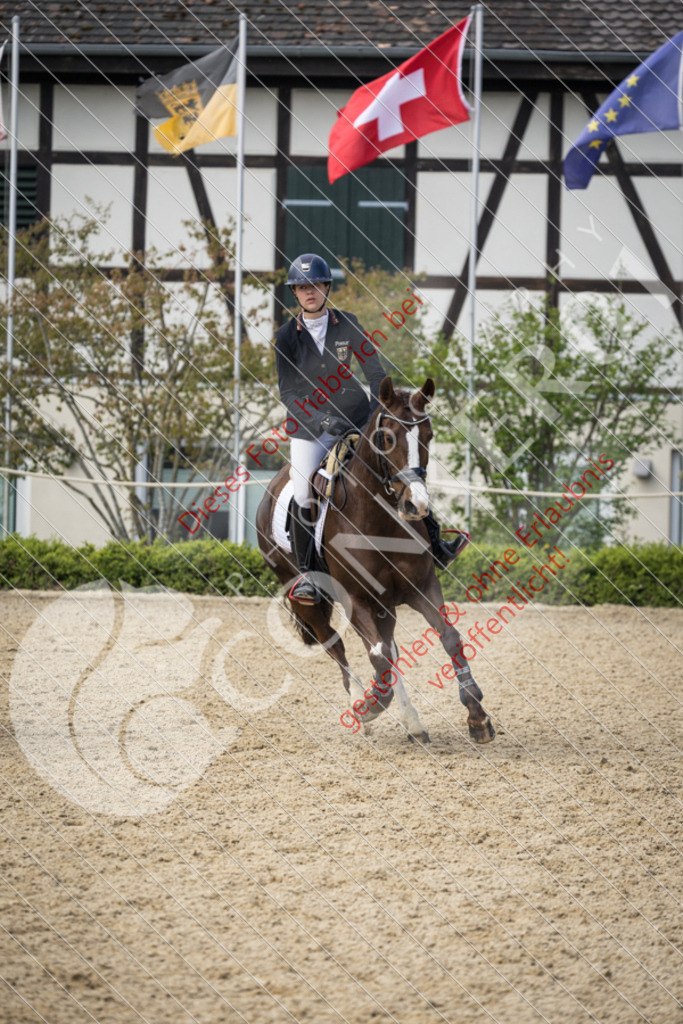 CON_0562 | Sport-, Event- und Tierfotos in Profiqualität. Einfach auswählen, bestellen und herunterladen. Dein Moment – perfekt festgehalten.