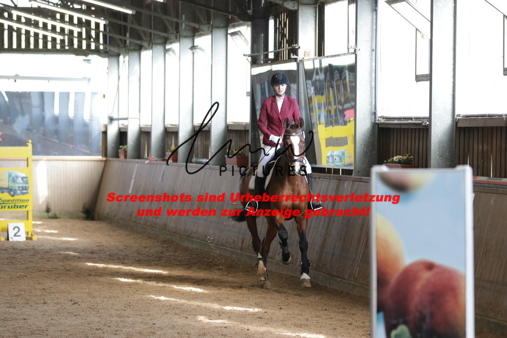 IMG_3002 | lmwpictures - Realisiert mit Pictrs.com